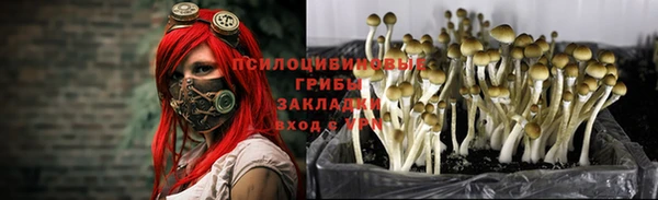 бошки Аркадак