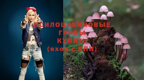 соль курить ск Армянск
