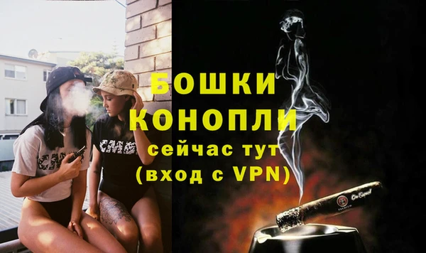 бошки Аркадак