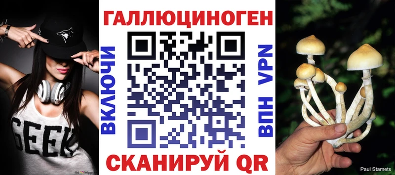 Галлюциногенные грибы мицелий где найти наркотики Пошехонье